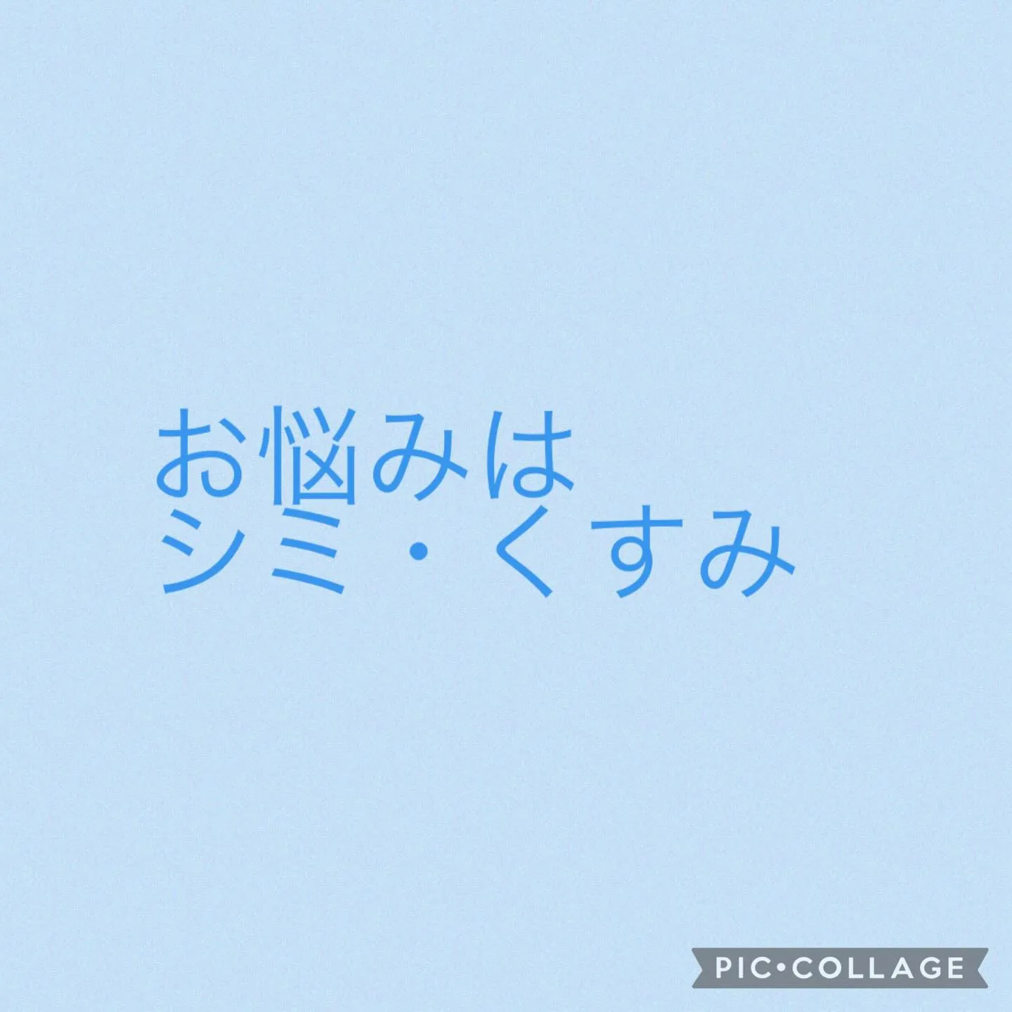本日のお客様は